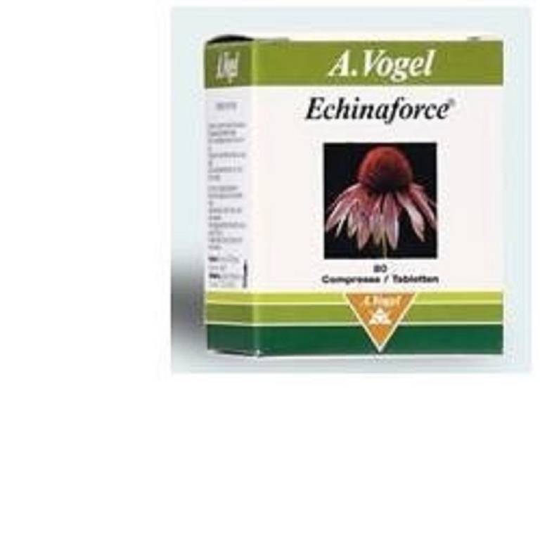 ECHINAFORCE 80CPR VOGEL